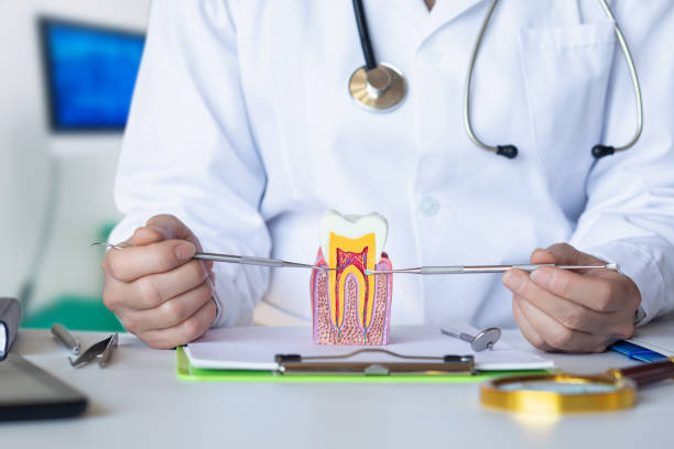 Best Emergency Treatment for Oral Infections in Versailles, KY